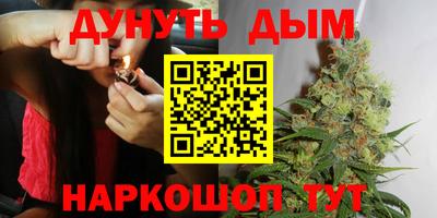 гидра Краснознаменск