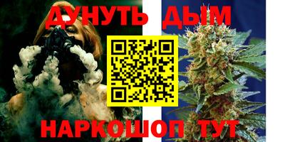 гидра Краснознаменск