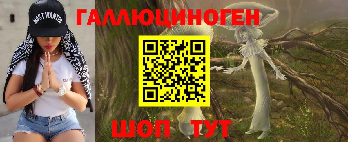 Ялта  Галлюциногенные грибы Psilocybine cubensis  где найти   Вход с VPN  Псилоцибиновые грибы Cubensis 